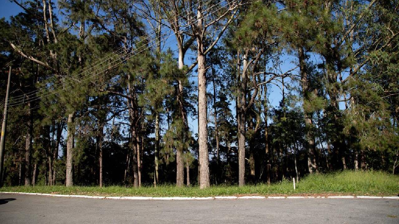 Barueri orienta moradores sobre como agir diante da presença de animais silvestres em áreas urbanas