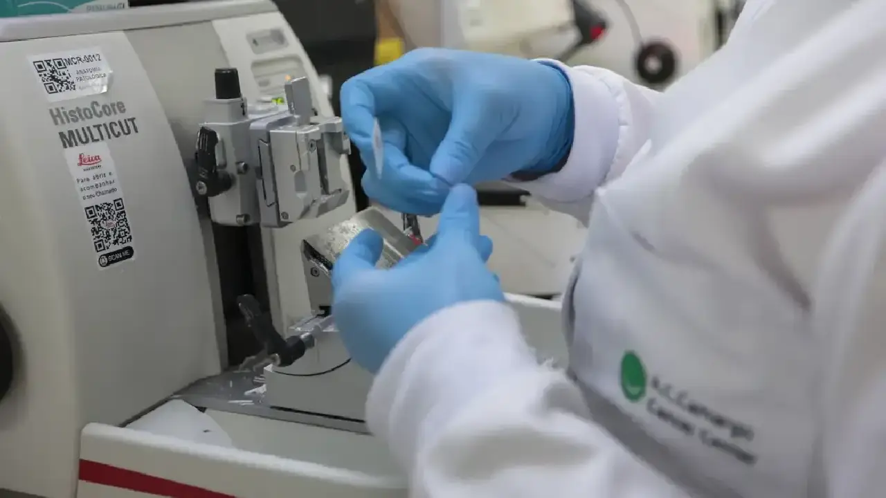 Cartórios de todo o Brasil fazem mutirão de registro civil esta semana