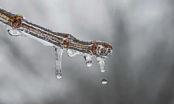 Frio persiste com risco de geada no Sul e Sudeste