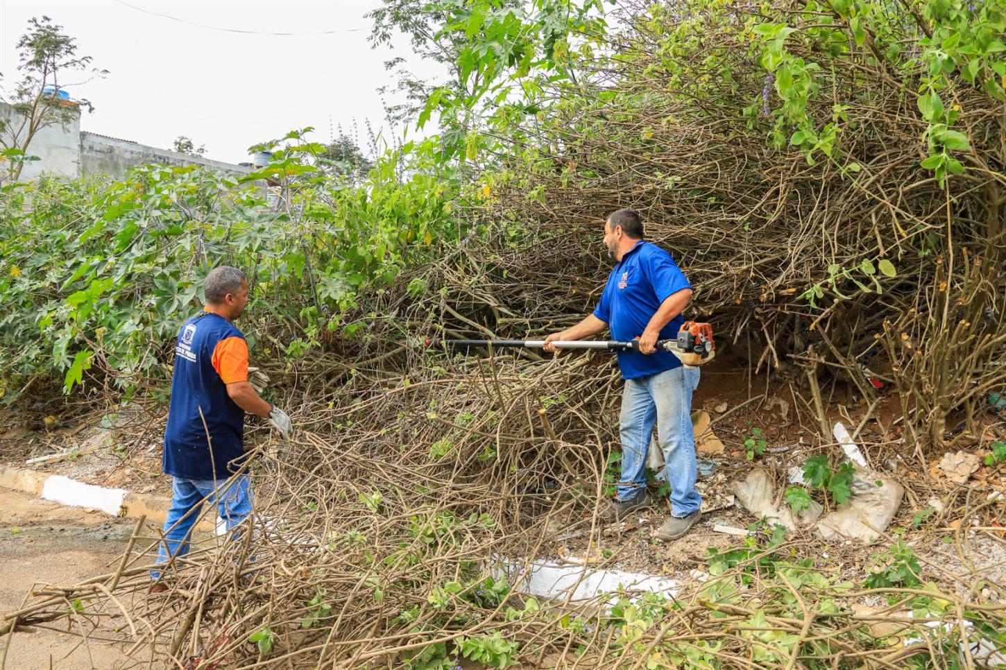 Bairro Cristal Park 4 recebe Operação Bairro Limpo com serviços de zeladoria e manutenção