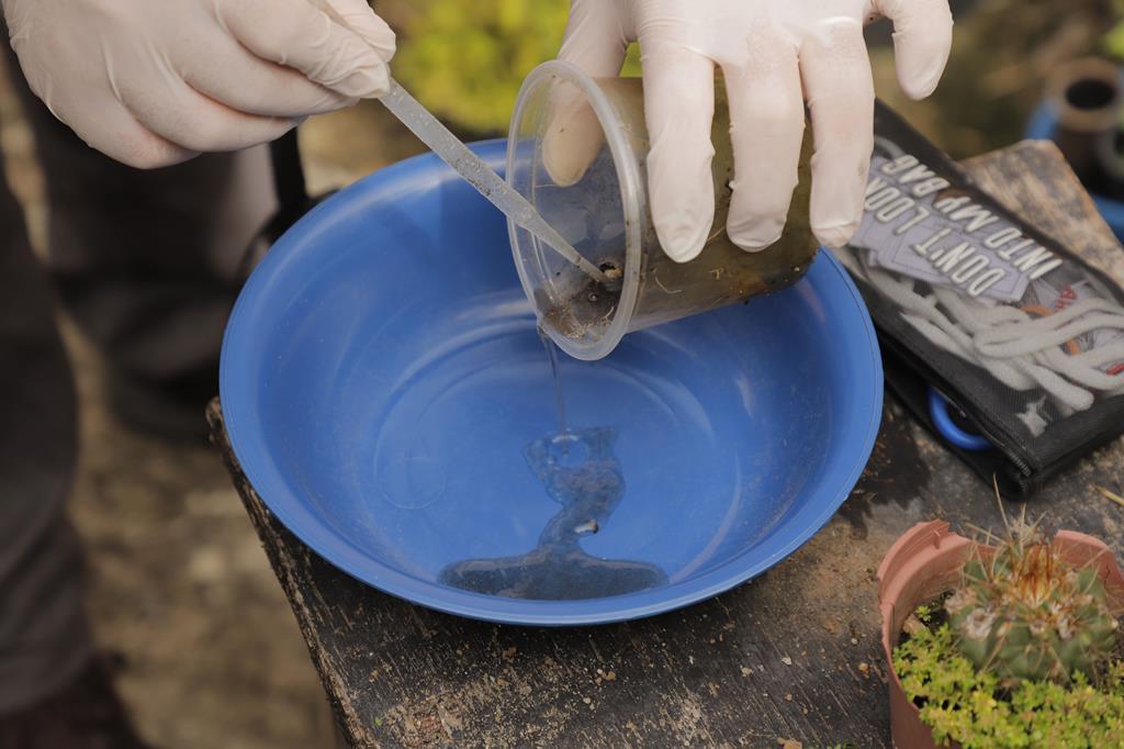 Mutirão de combate à dengue conscientiza moradores no Parque Imperial e Jardim São Luís